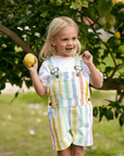 Classic Wide Stripe Shorts - Multicolour