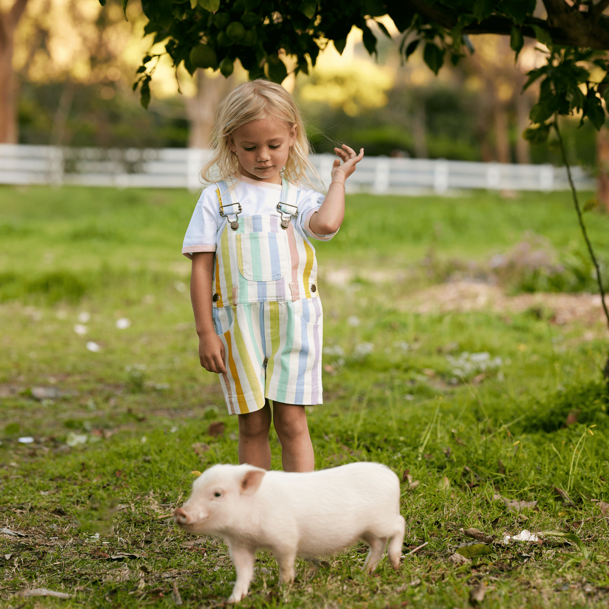 Classic Wide Stripe Shorts - Multicolour