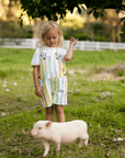Classic Wide Stripe Shorts - Multicolour