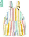 Classic Wide Stripe Shorts - Multicolour