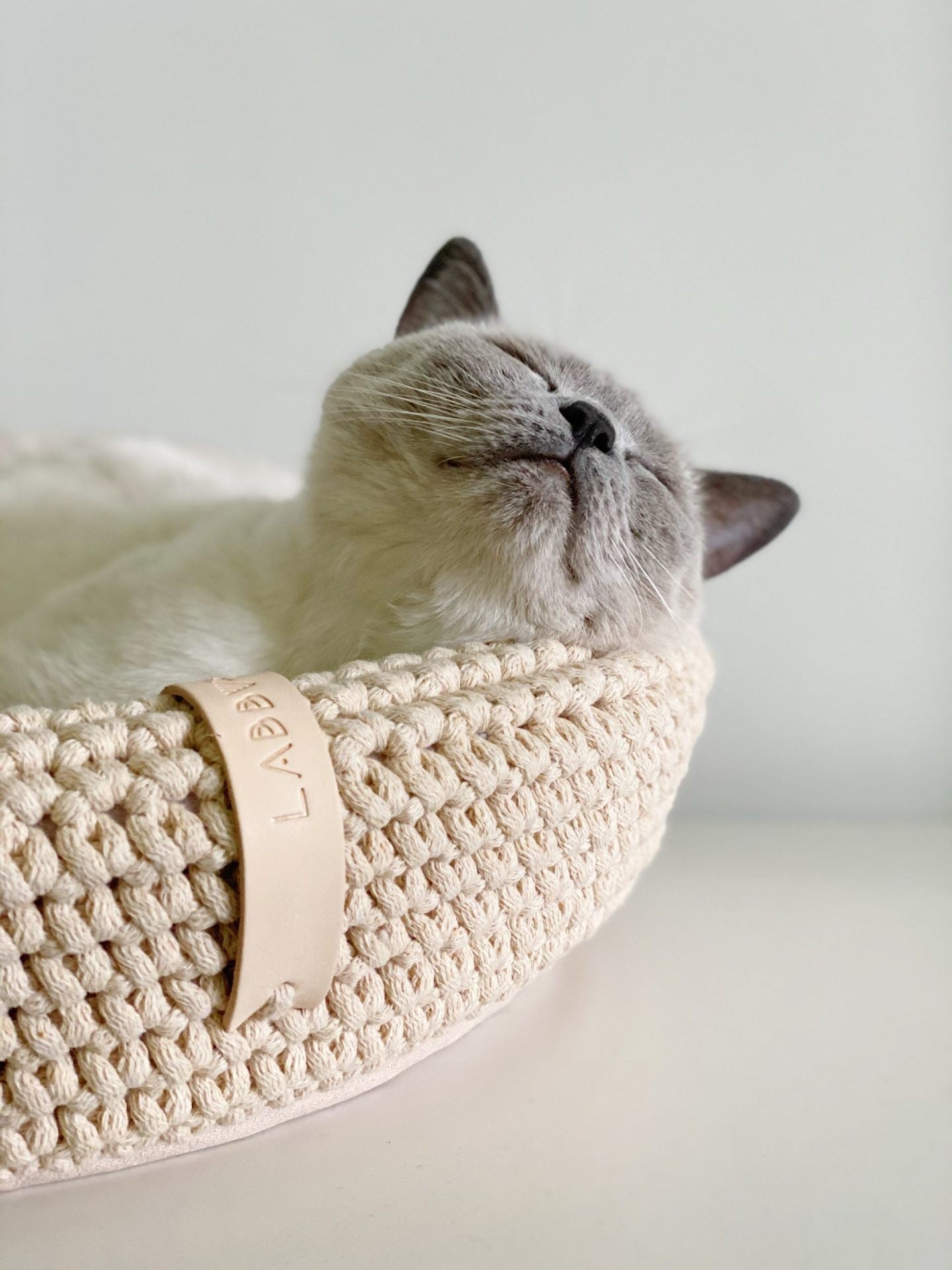 Coco Pet Bed for Cats and Small Dogs