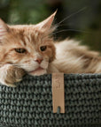 Green Cotton Rope Bed for Cats and Small Dogs