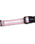 Collar - Pastel Pink