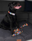 Illuminating LED Pet Collar Pixels
