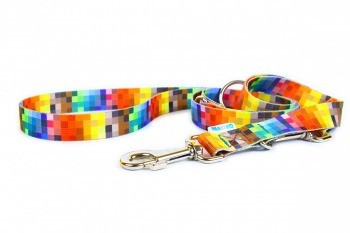 Durable Dog Collar with Plastic Buckle
