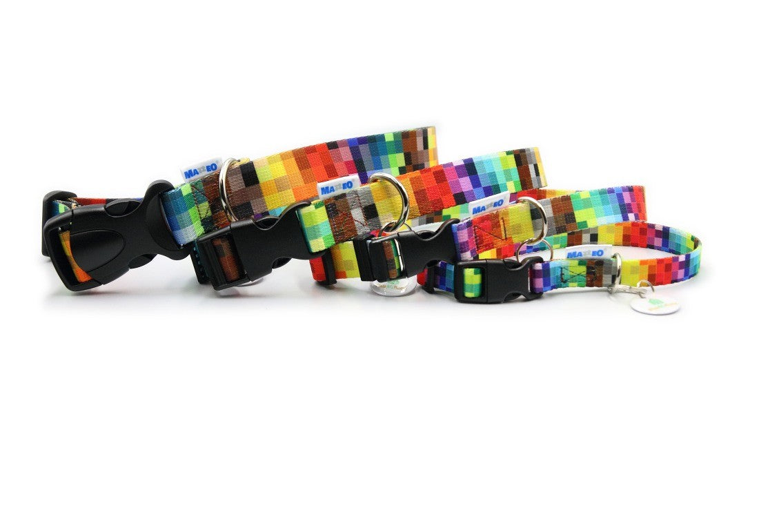 Durable Dog Collar with Plastic Buckle