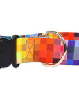 Durable Dog Collar with Plastic Buckle