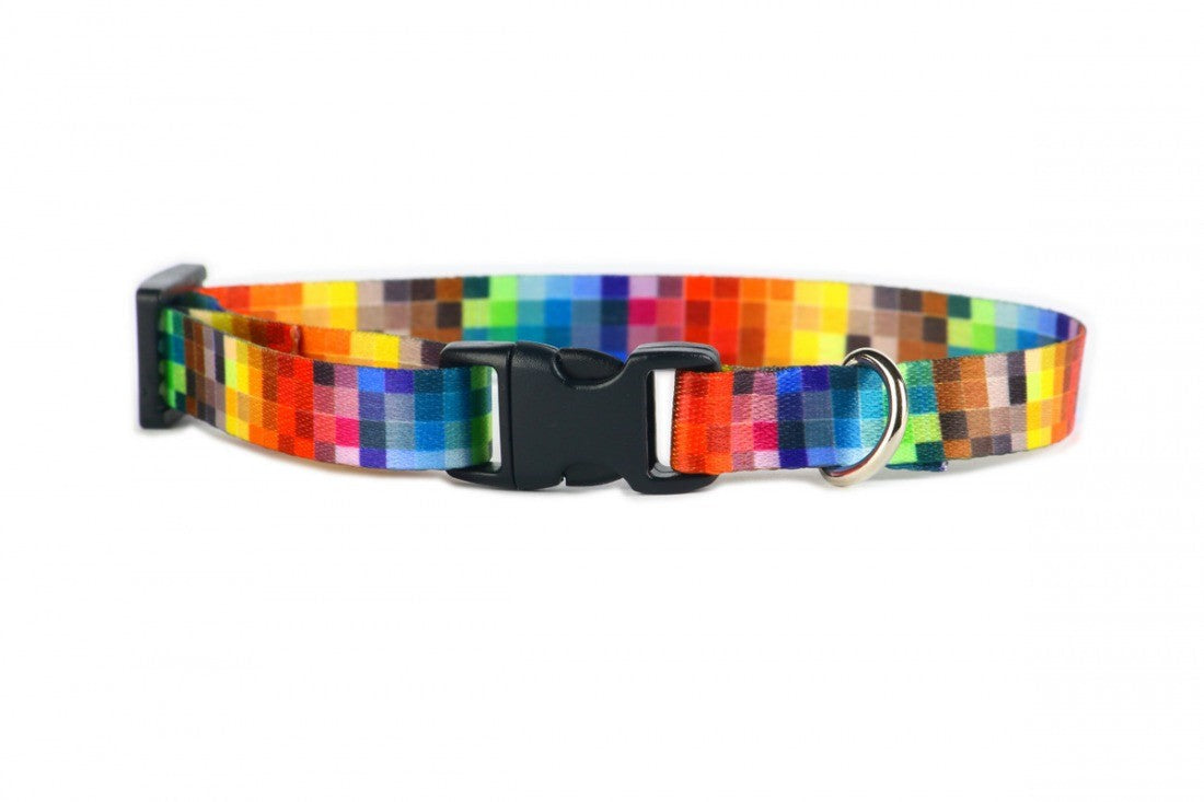 Durable Dog Collar with Plastic Buckle