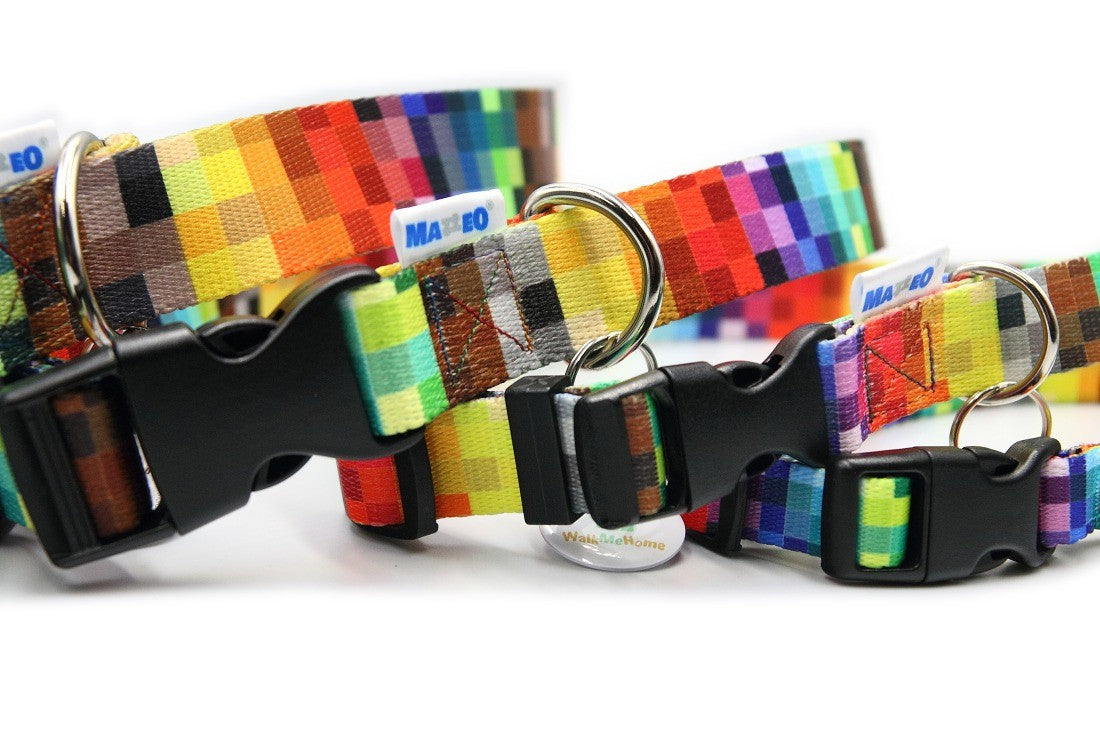 Durable Dog Collar with Plastic Buckle