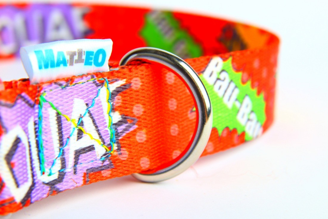 Red Graffiti Pattern Dog Collar with Buckle