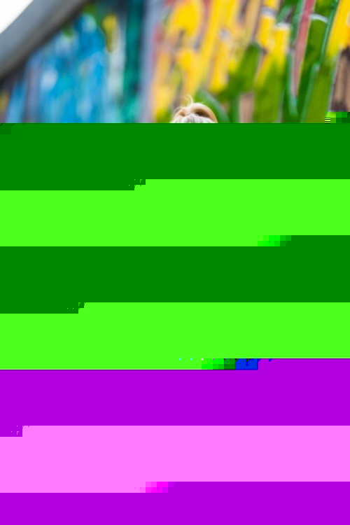 Red Graffiti Pattern Dog Collar with Buckle