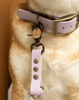Kitsunē BioThane® Dog Collar