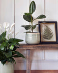 Como Hand Finished Pot 17-21cm Diameter