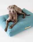 Azure Cushion Pet Bed for Dogs