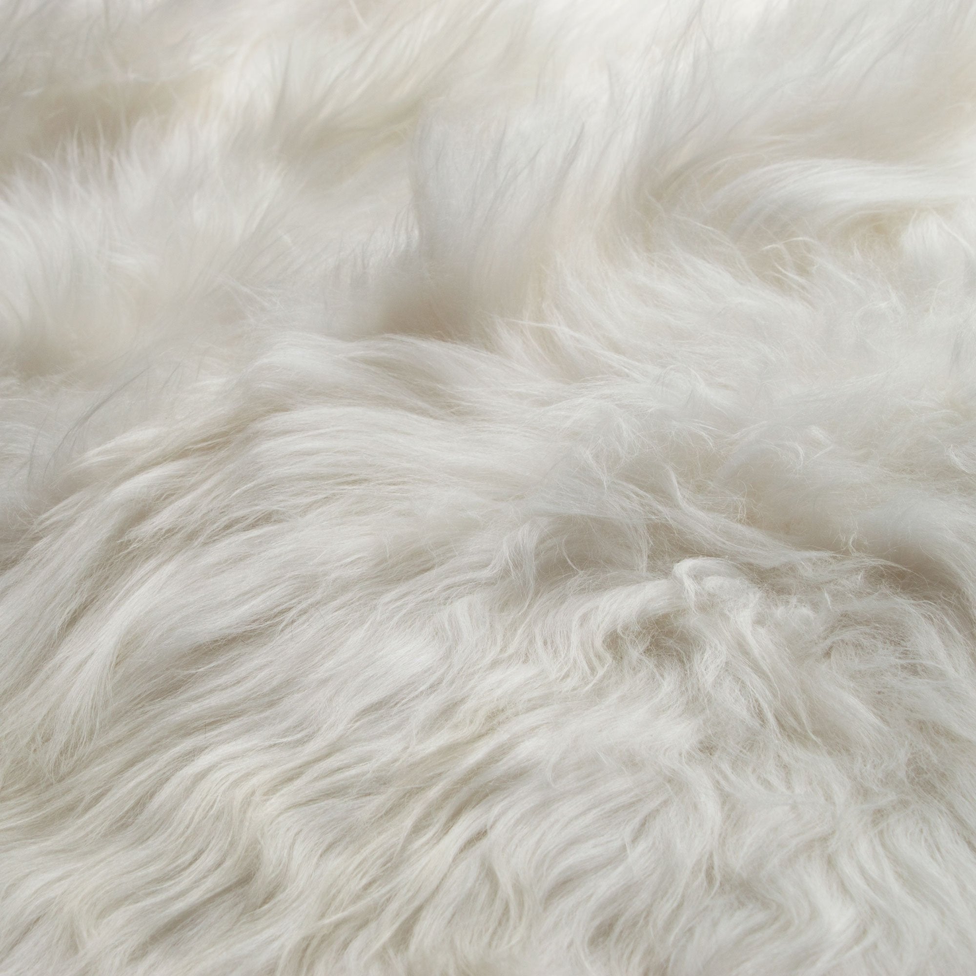 Luxury handmade Icelandic sheepskin rug, premium long fur, 100% natural white double side by side, soft high-quality fleece by Wildash London at brixbailey.com