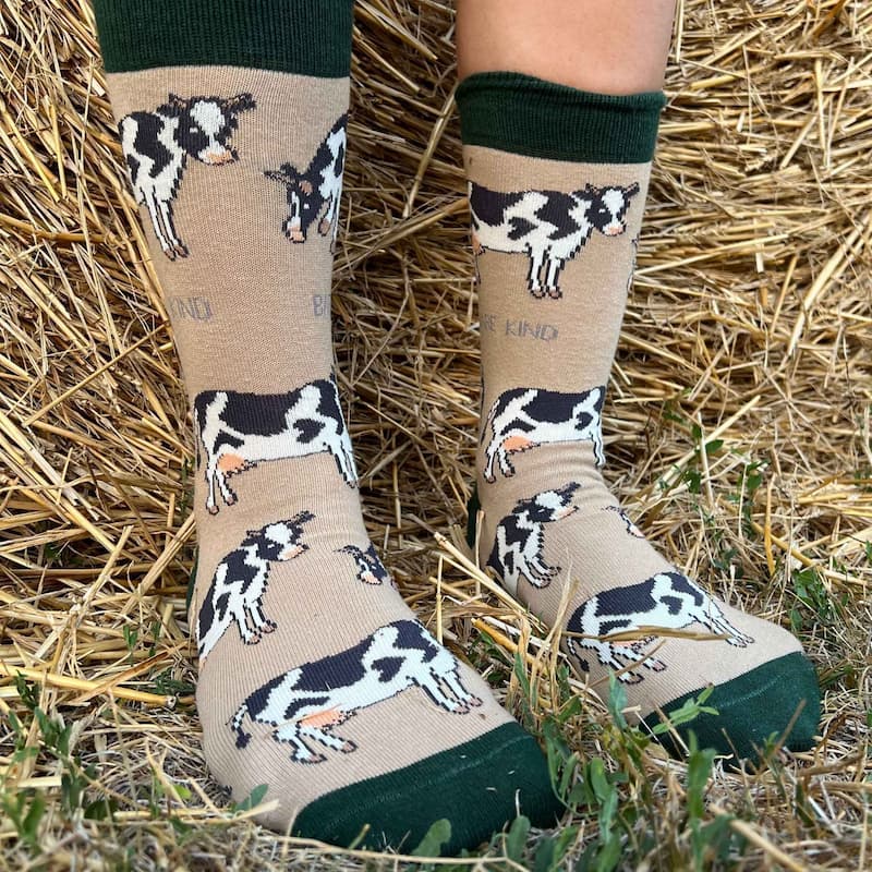 Farm Rainbow Bundle Bamboo Sock Set of 4