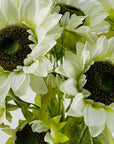 Pack of 6 x Artificial Flowers White Sunflower - 3 heads 88cm-1
