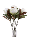 White Magnolia Flower Stem