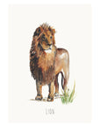 Watercolour Lion Fine Art Print