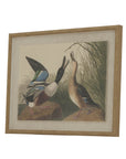 Framed Mallard Duck Art on Linen Canvas
