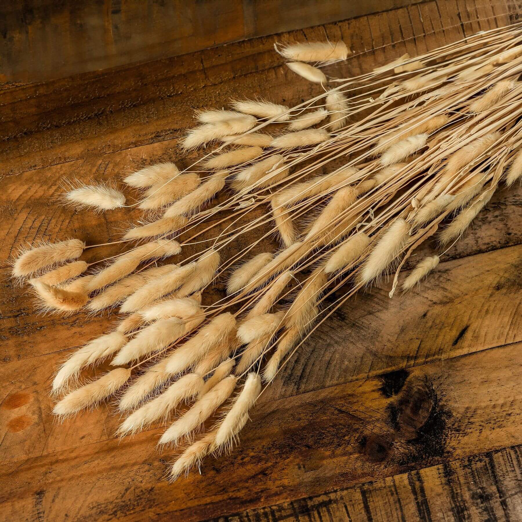 Fluffy Bunny Tail Bouquet Tall Natural Decor