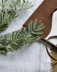 Silver Wattle Leaf Stem for a Calm Natural Look