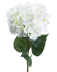 White Hydrangea Stem That Looks Marvellously Real