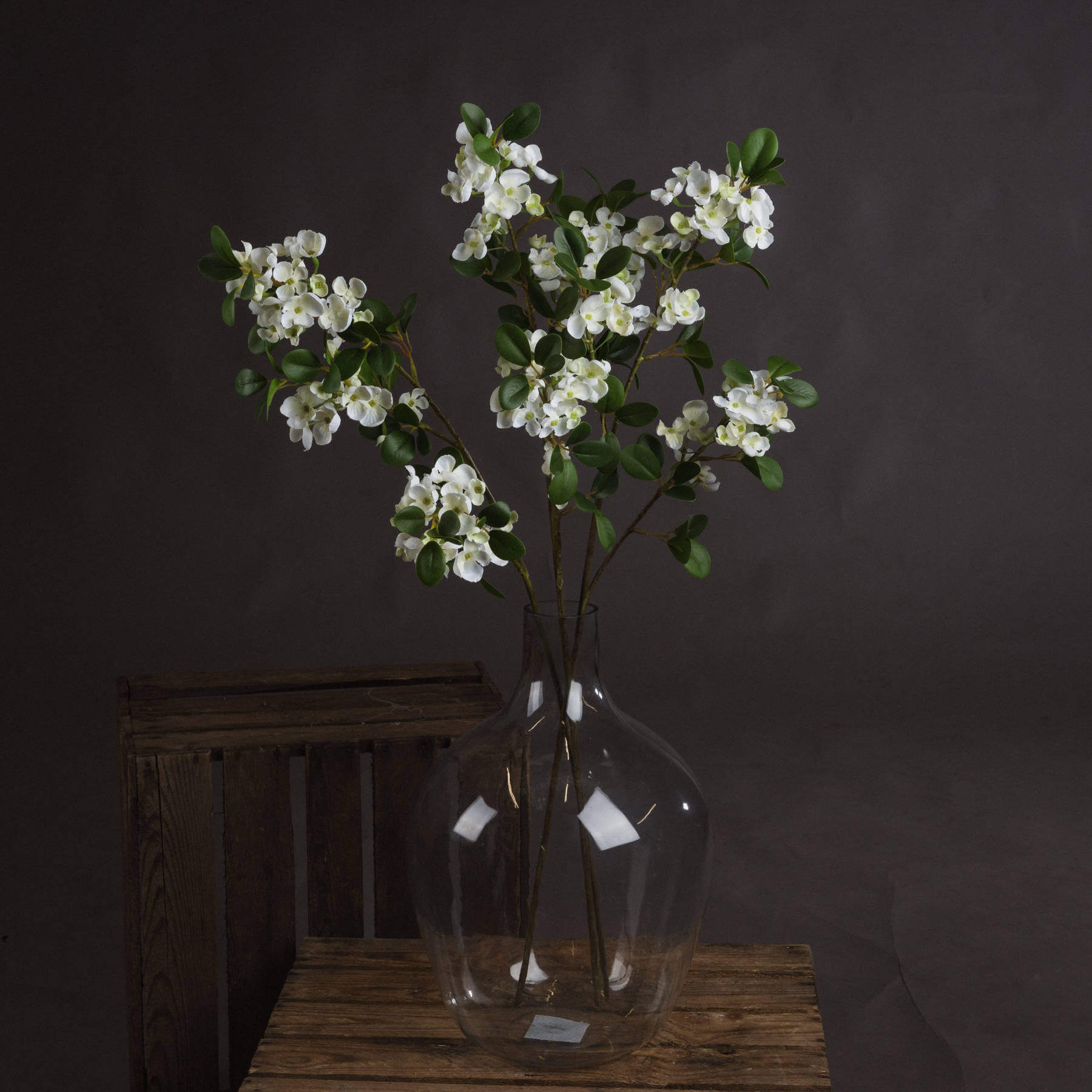 Fragrant White Mock Orange Blossom | Spring Freshness