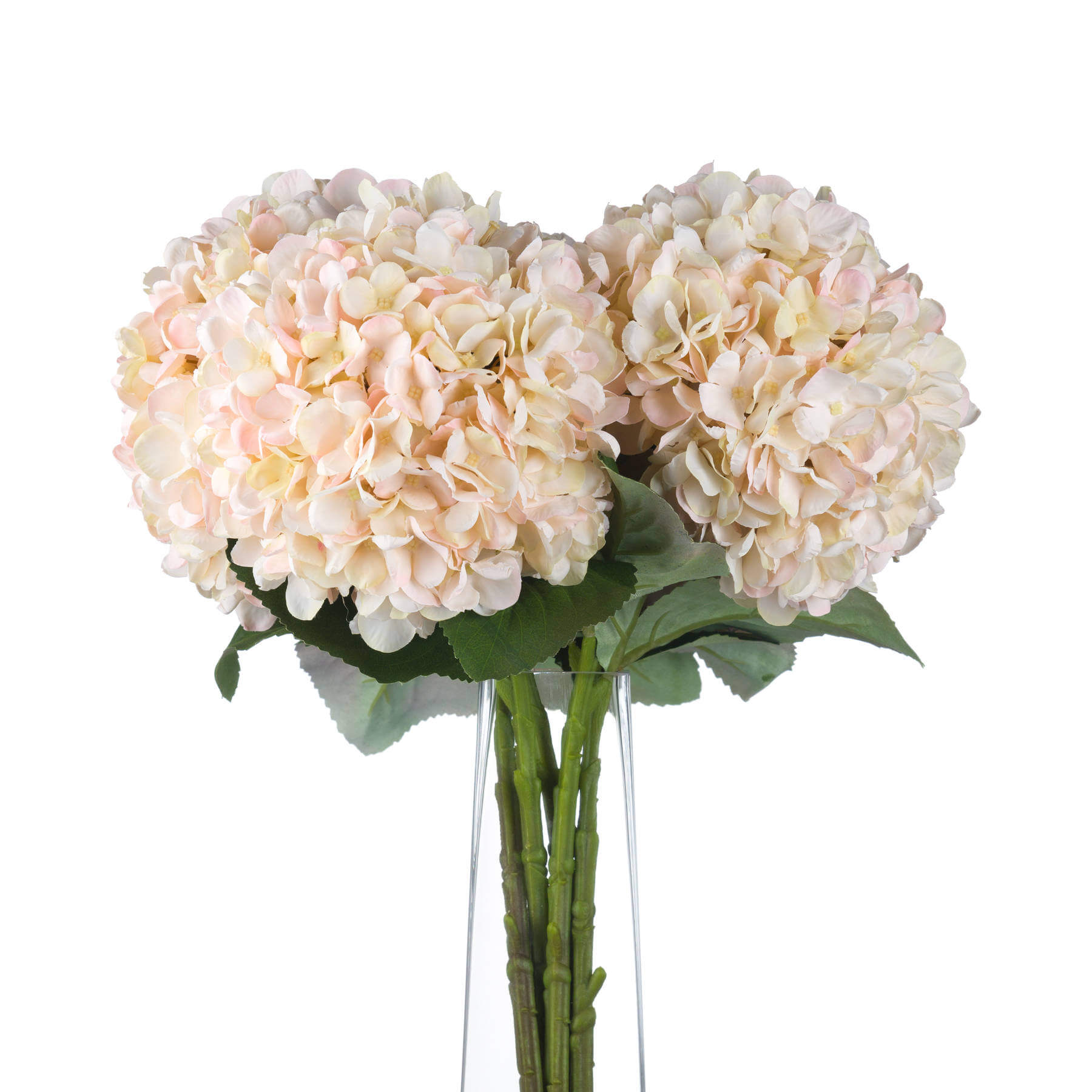 Autumn White Hydrangea Stem with Blush Tones