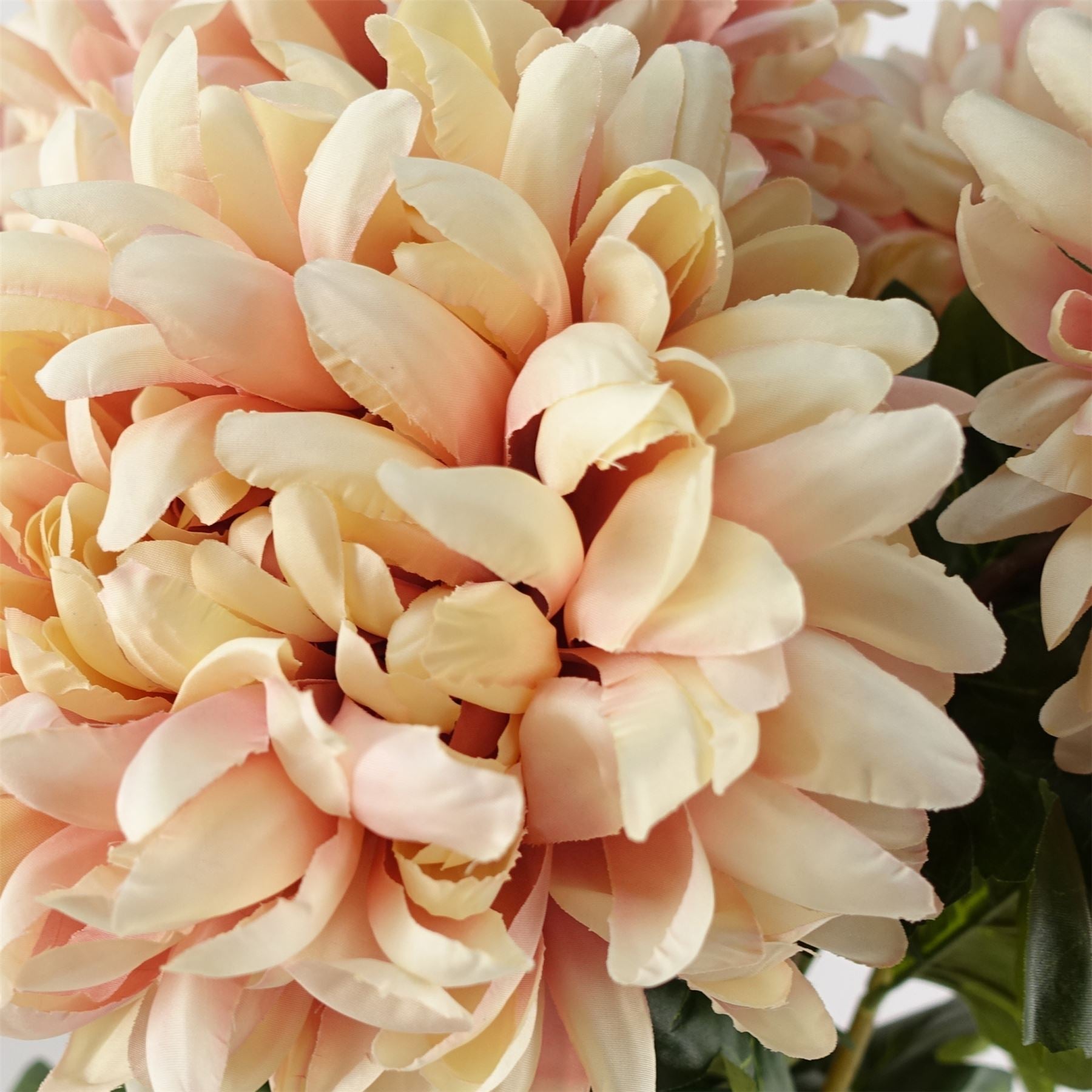 Pack of 6 x Artificial Flowers Extra Large Reflex Chrysanthemum - Pink 75cm-2