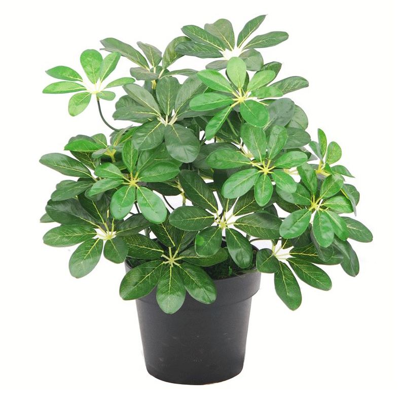 Artificial Arboricola Plant Umbrella Tree-0