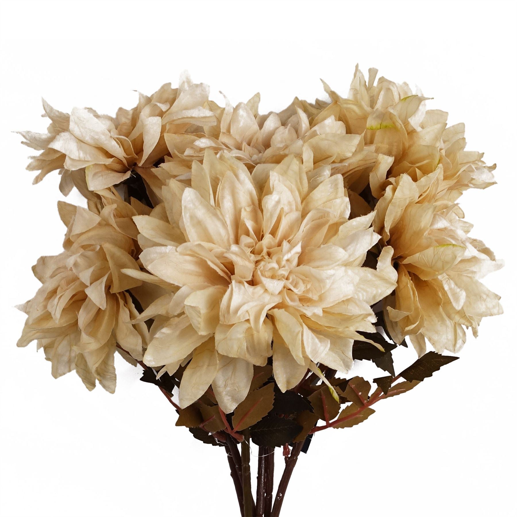 Pack of 6 x 55cm Dahlia Flower Stem - Dusty Cream-0