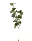 Lifelike green eucalyptus stem spray, 66cm tall, perfect for home decor and centerpieces  by sostter at brixbailey.com