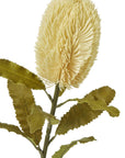 Cream Faux Banksia Serrata Stem