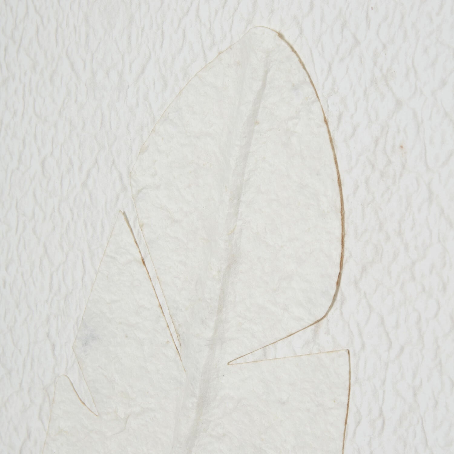 Large White Feather Wall Art in Beaded Frame