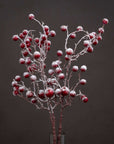 Large Red Berry Wreath for Winter Holiday Decor