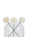 Pure White Short Chrysanthemum for Effortless Home Styling