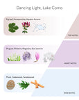 Dancing Light, Lake Como Diffuser, 200ml