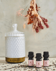 Geometric Glass Aroma Diffuser with Essential Oil Set