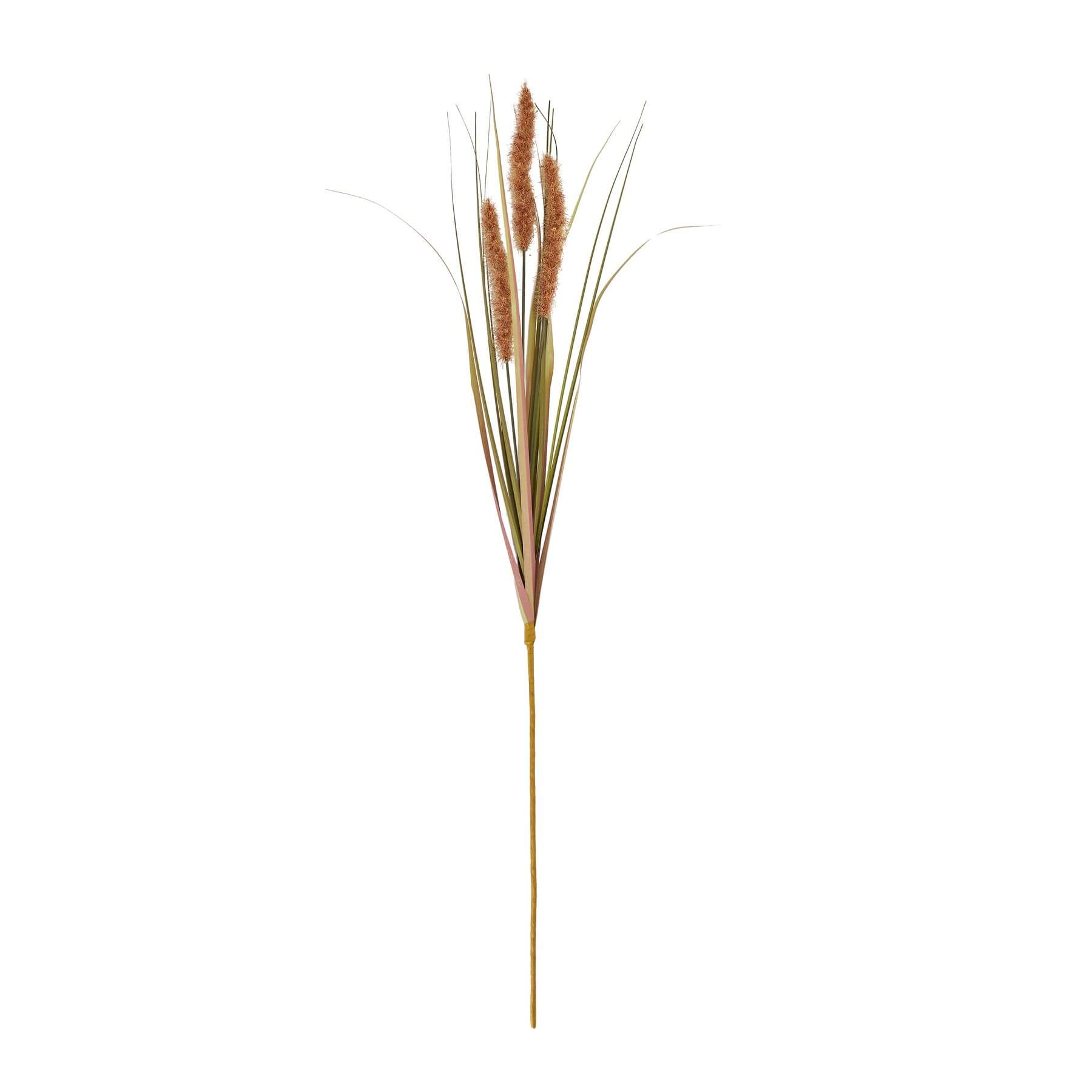 Terracotta Grass Stems Set of Three for Natural Warmth