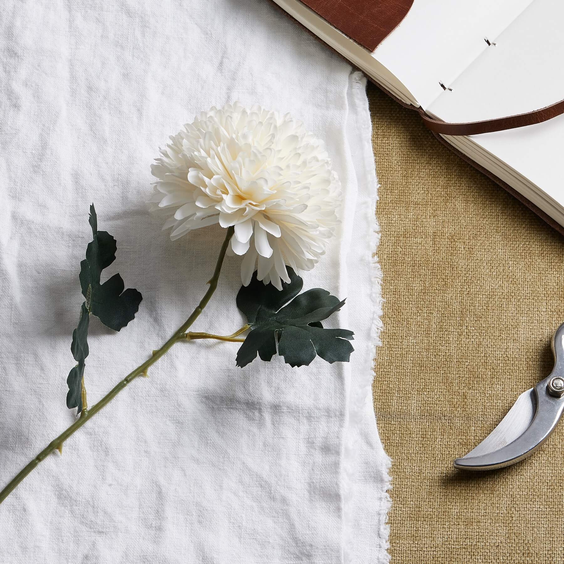 Soothing White Chrysanthemum Stem Always in Bloom
