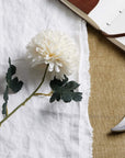 Soothing White Chrysanthemum Stem Always in Bloom