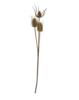 Triple Teasle Artificial Stem for Wild Style Interiors