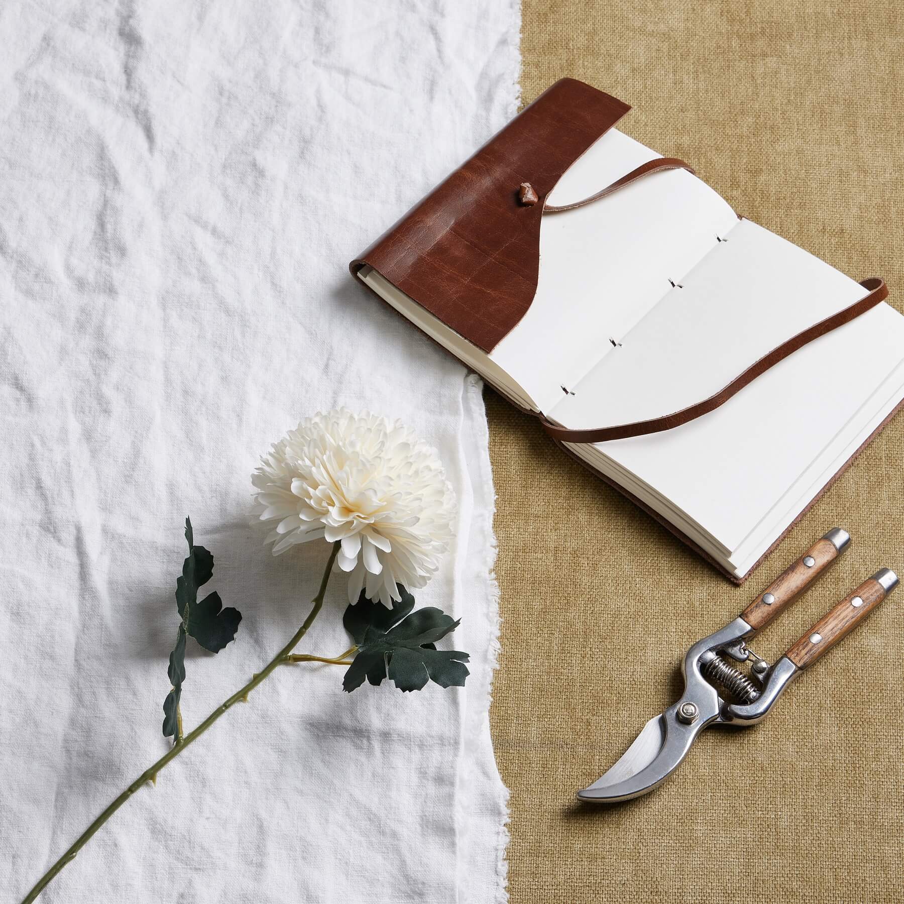 Soothing White Chrysanthemum Stem Always in Bloom