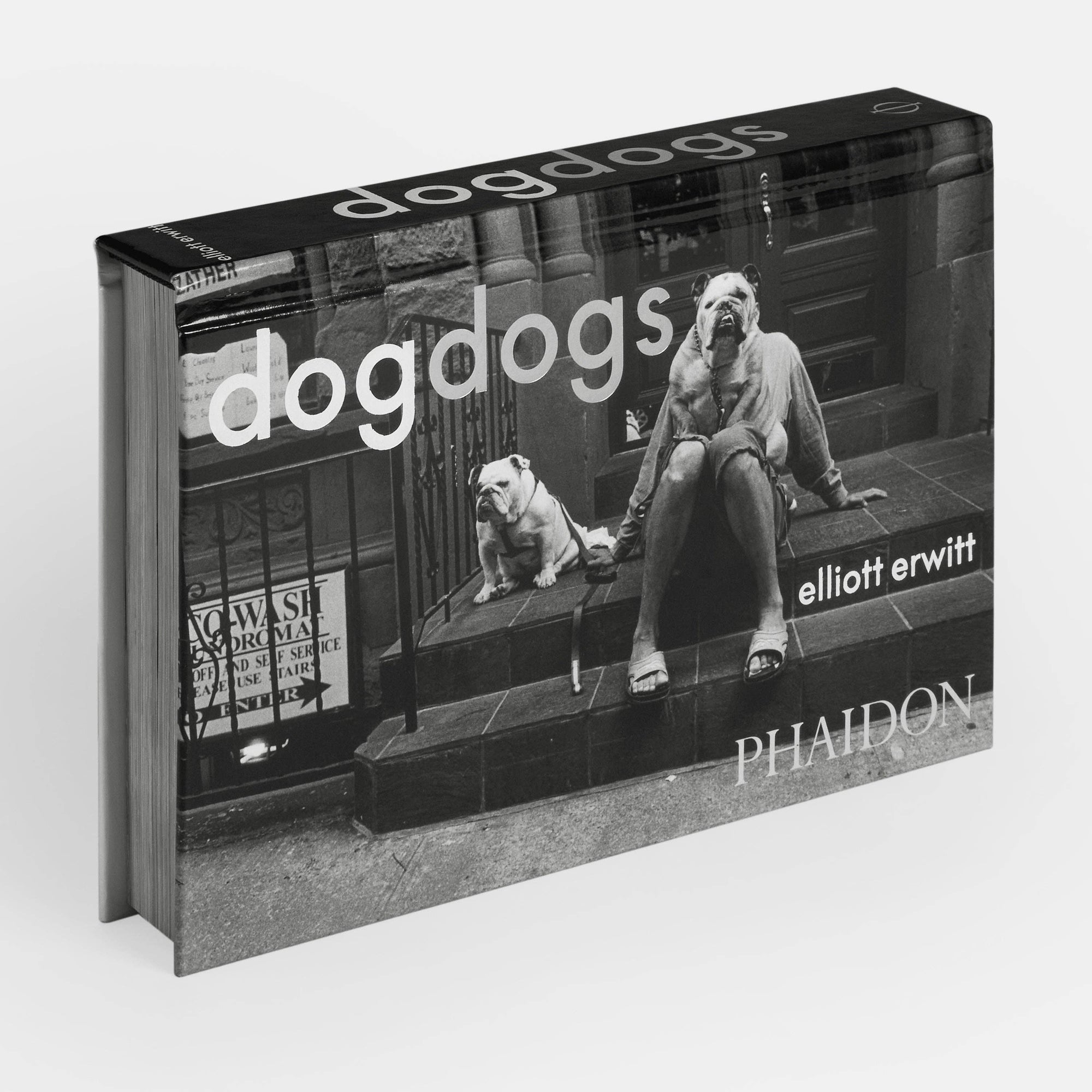 DogsDogs by Elliott Erwitt