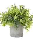 Mini Bamboo Plant in Soft Grey Pot