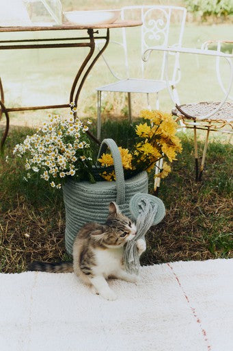 Decorative Watering Can Style Storage Basket