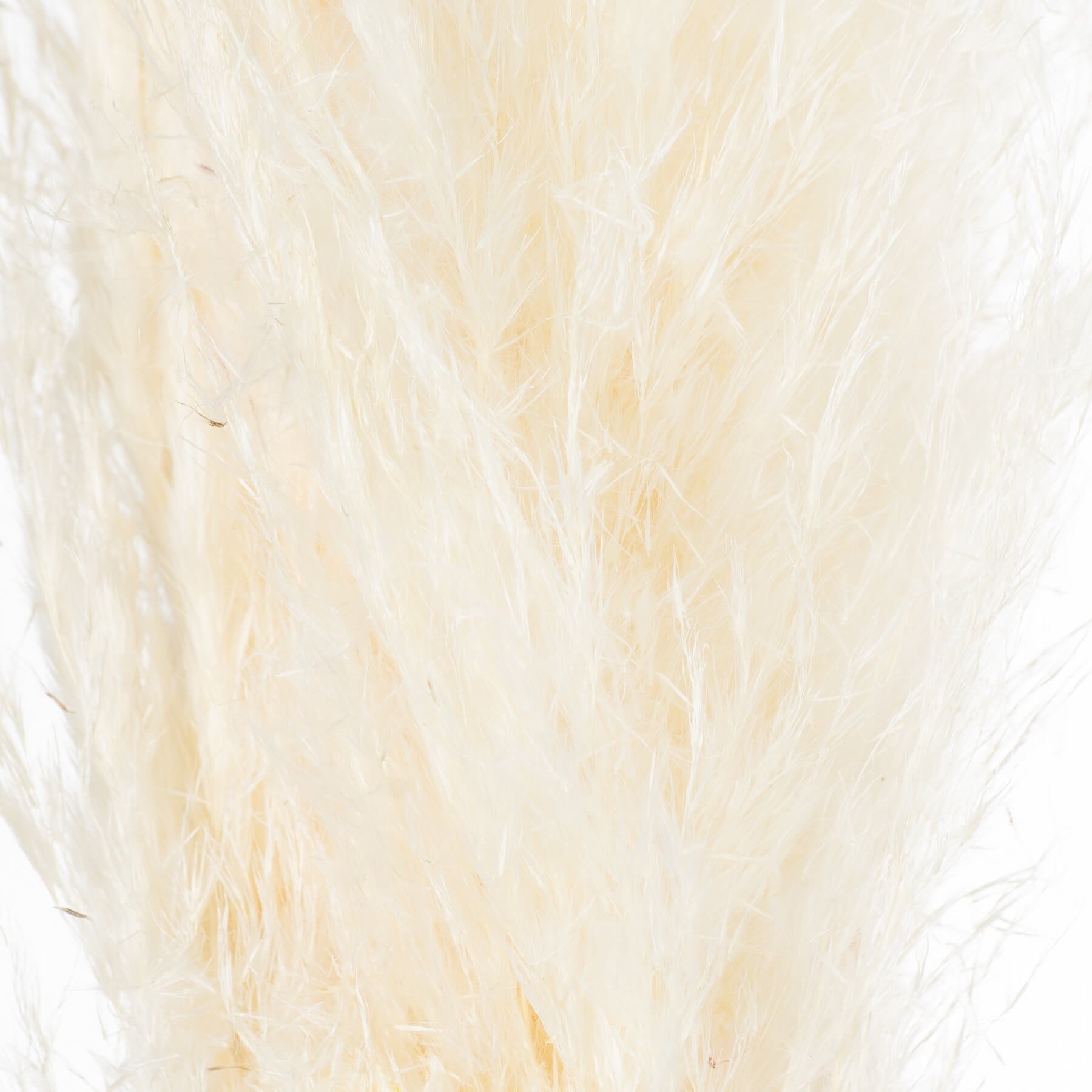 Cream Pampas Grass Stem Natural Boho Accent