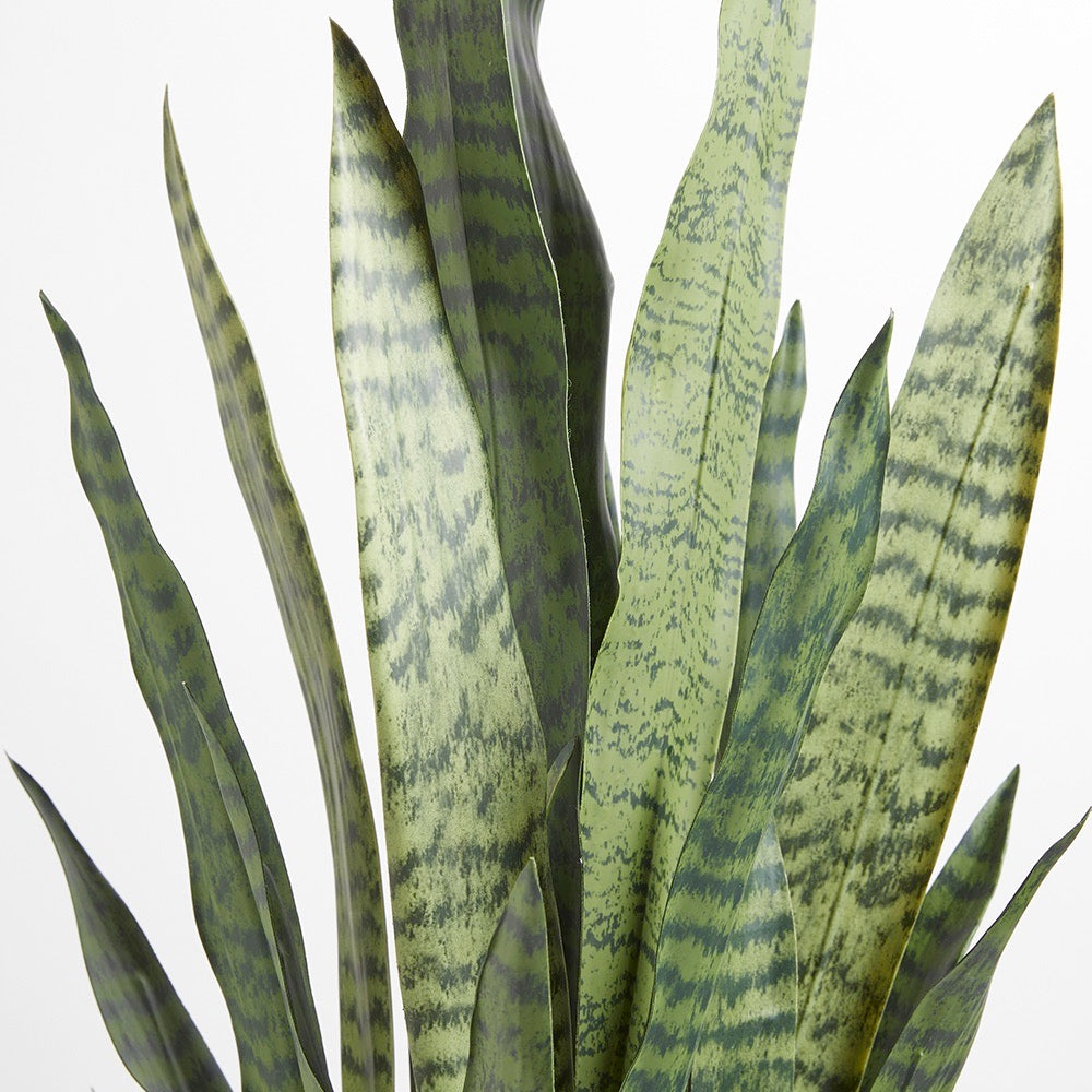 Artificial Snake Plant - 40"
