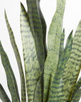 Artificial Snake Plant - 40"